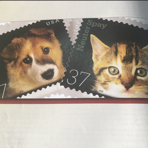 free性侏儒videos呻吟
