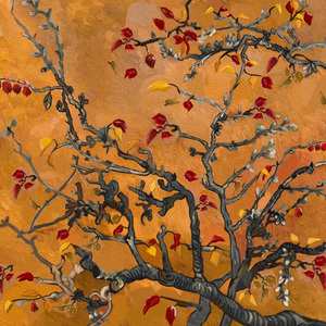 free性侏儒videos呻吟
