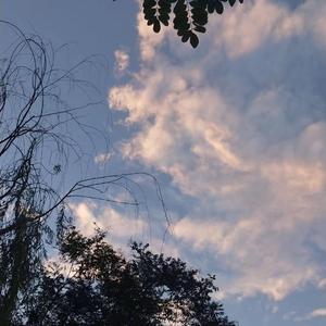 free性侏儒videos呻吟
