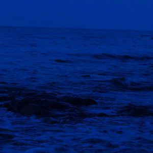 free性侏儒videos呻吟
