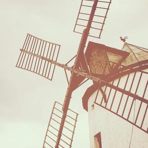 free性侏儒videos呻吟
